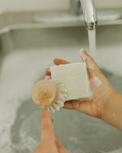 Zero Waste MVT
