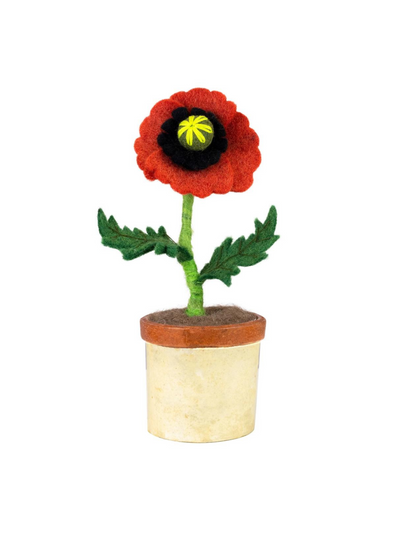 Poppy Potted Flower