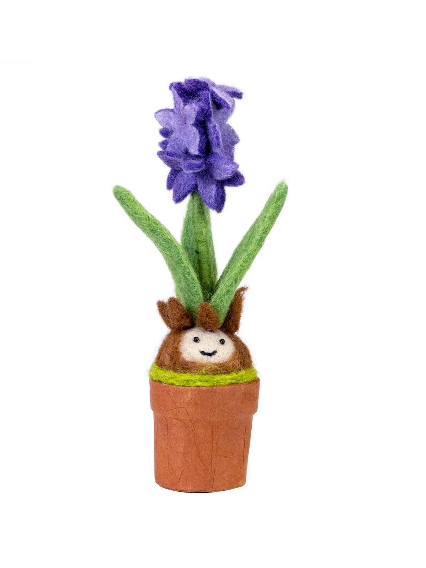 Hyacinth Potted Plant