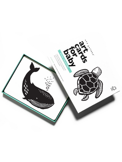 Art Cards for Baby - Ocean Collection