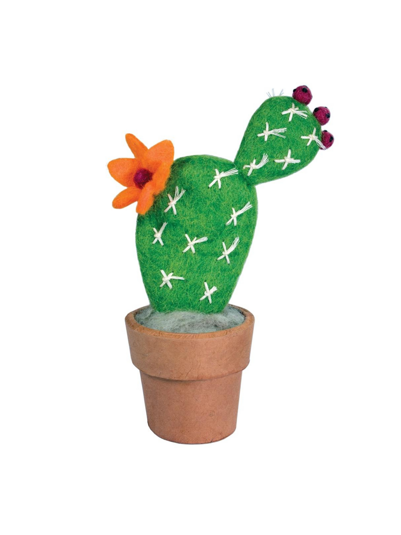 Small Prickly Pear Cactus