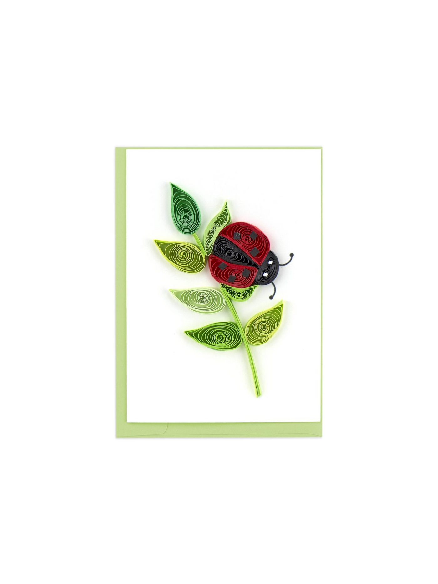 Ladybug Gift Enclosure Mini Card