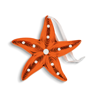 Quilled Sea Life Ornaments Box Set