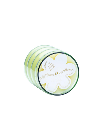 Wiggle Collection Soy Candle - Four Options