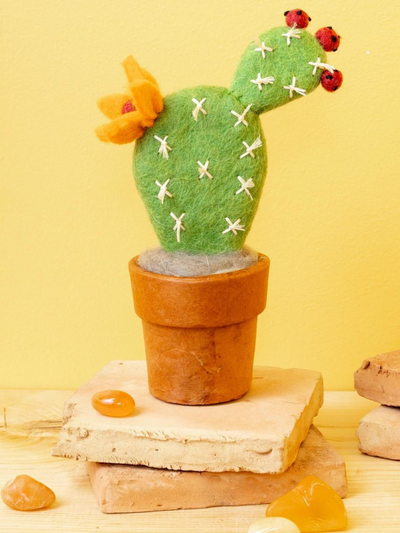 Small Prickly Pear Cactus