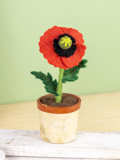 Poppy Potted Flower