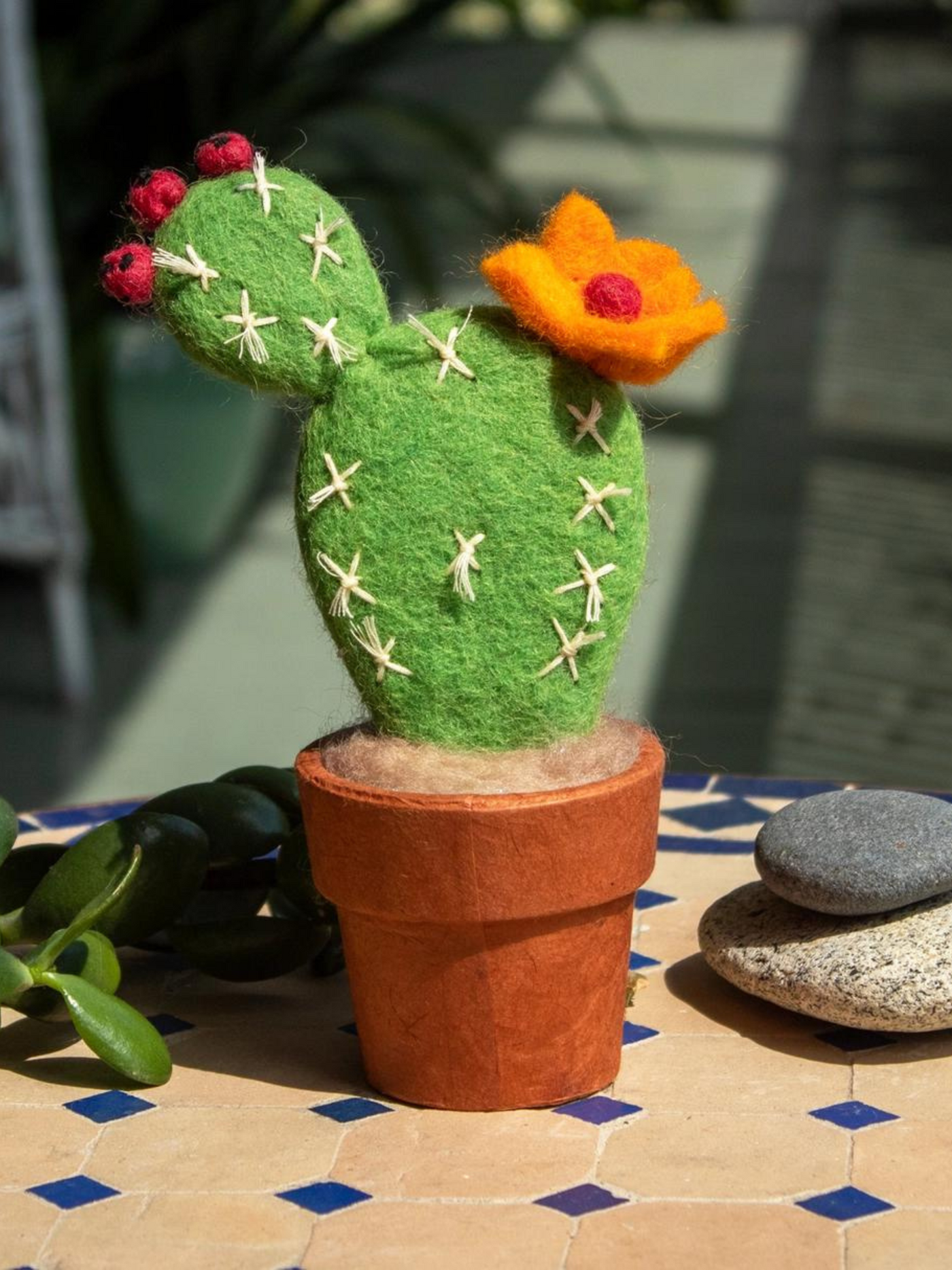 Small Prickly Pear Cactus