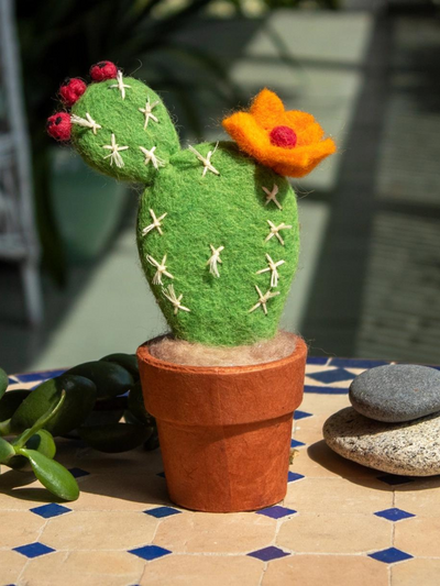 Small Prickly Pear Cactus