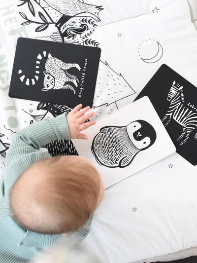 Black and White Art Cards - Animals