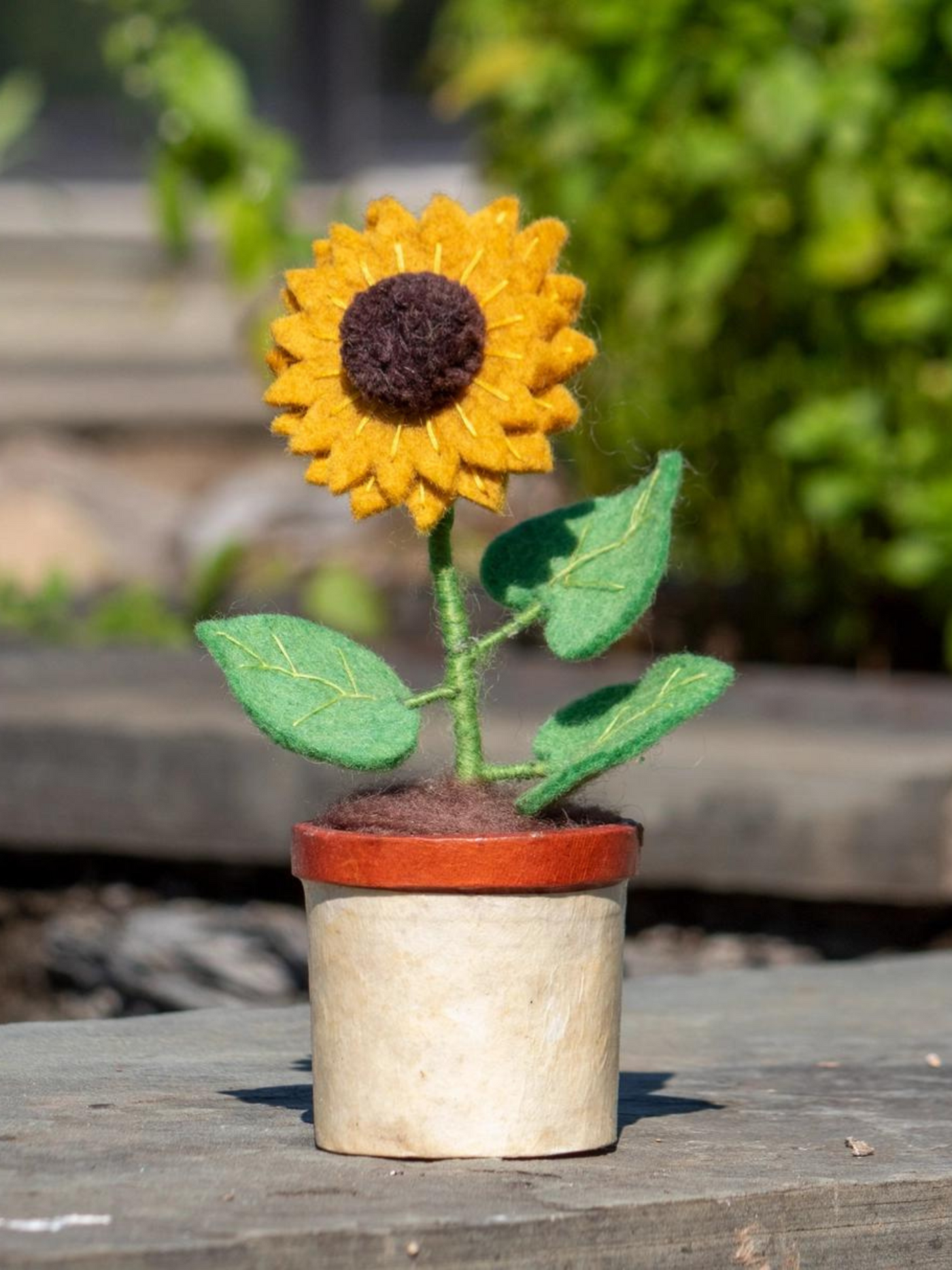 Sunflower Potted Flower