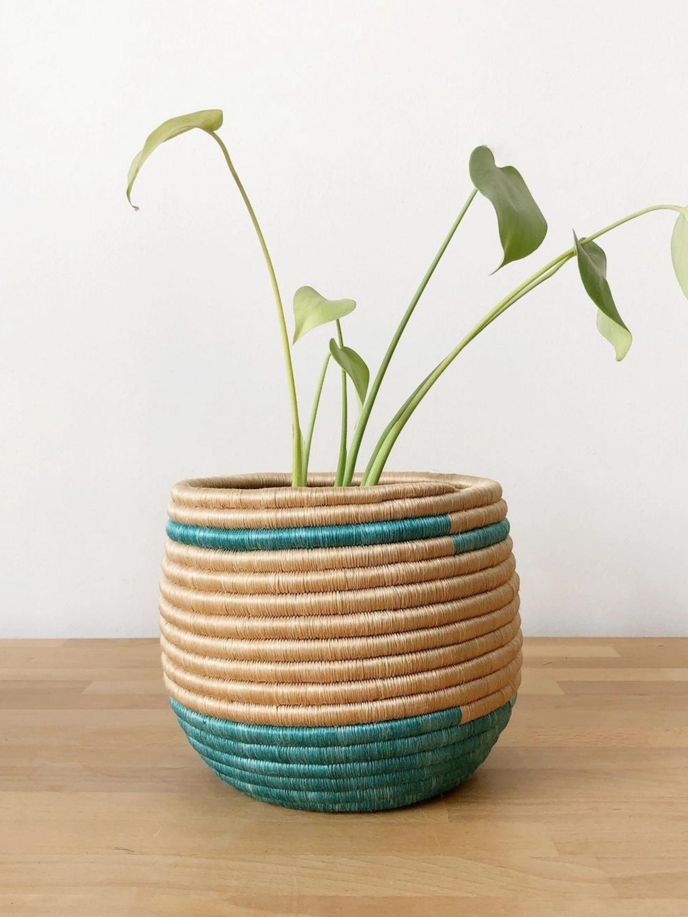 Honey Pot Basket - Maziba