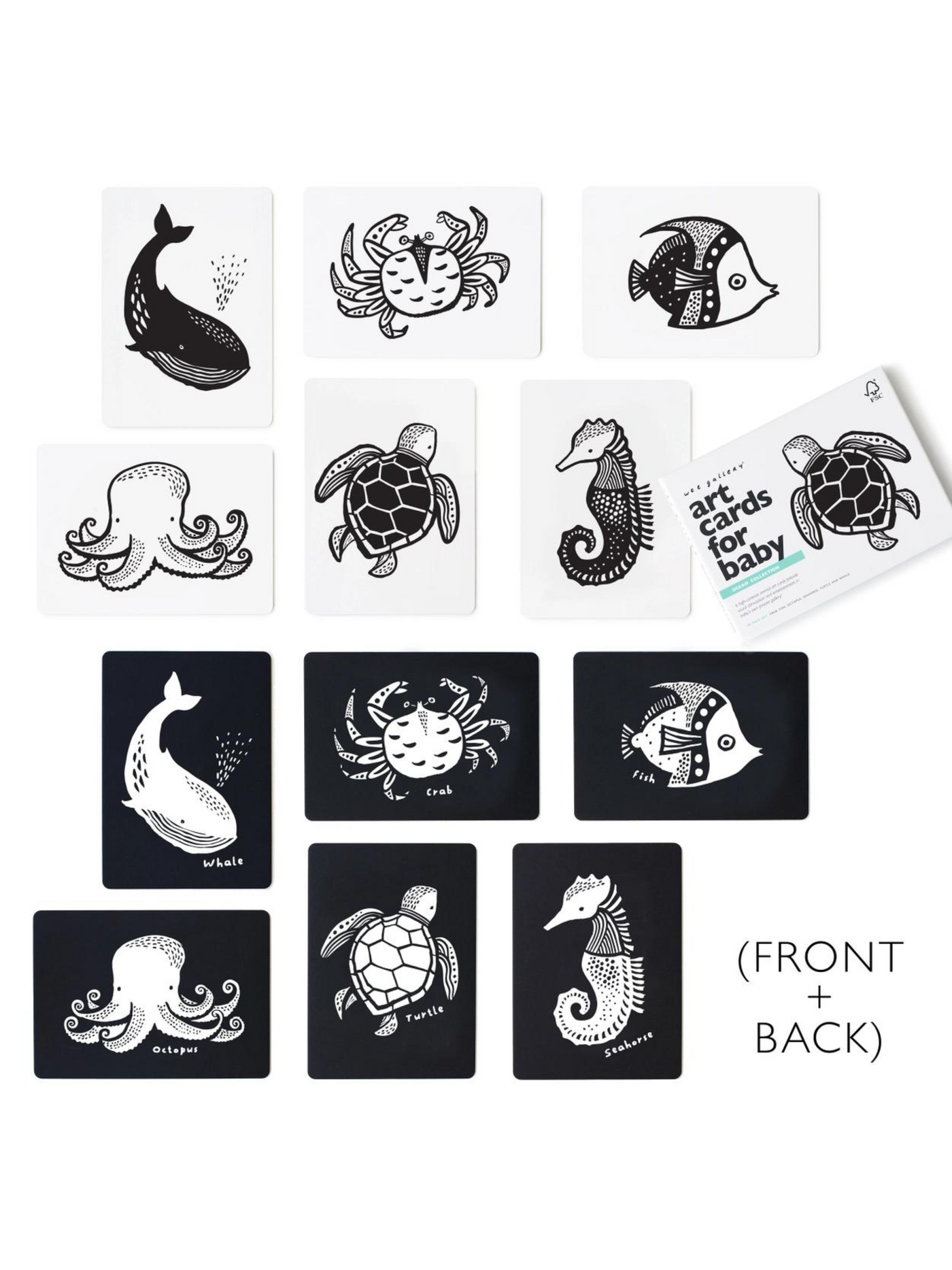 Art Cards for Baby - Ocean Collection
