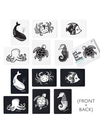 Art Cards for Baby - Ocean Collection
