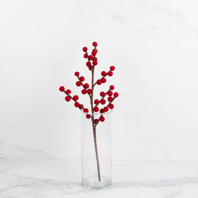 Red and White Berry Stems