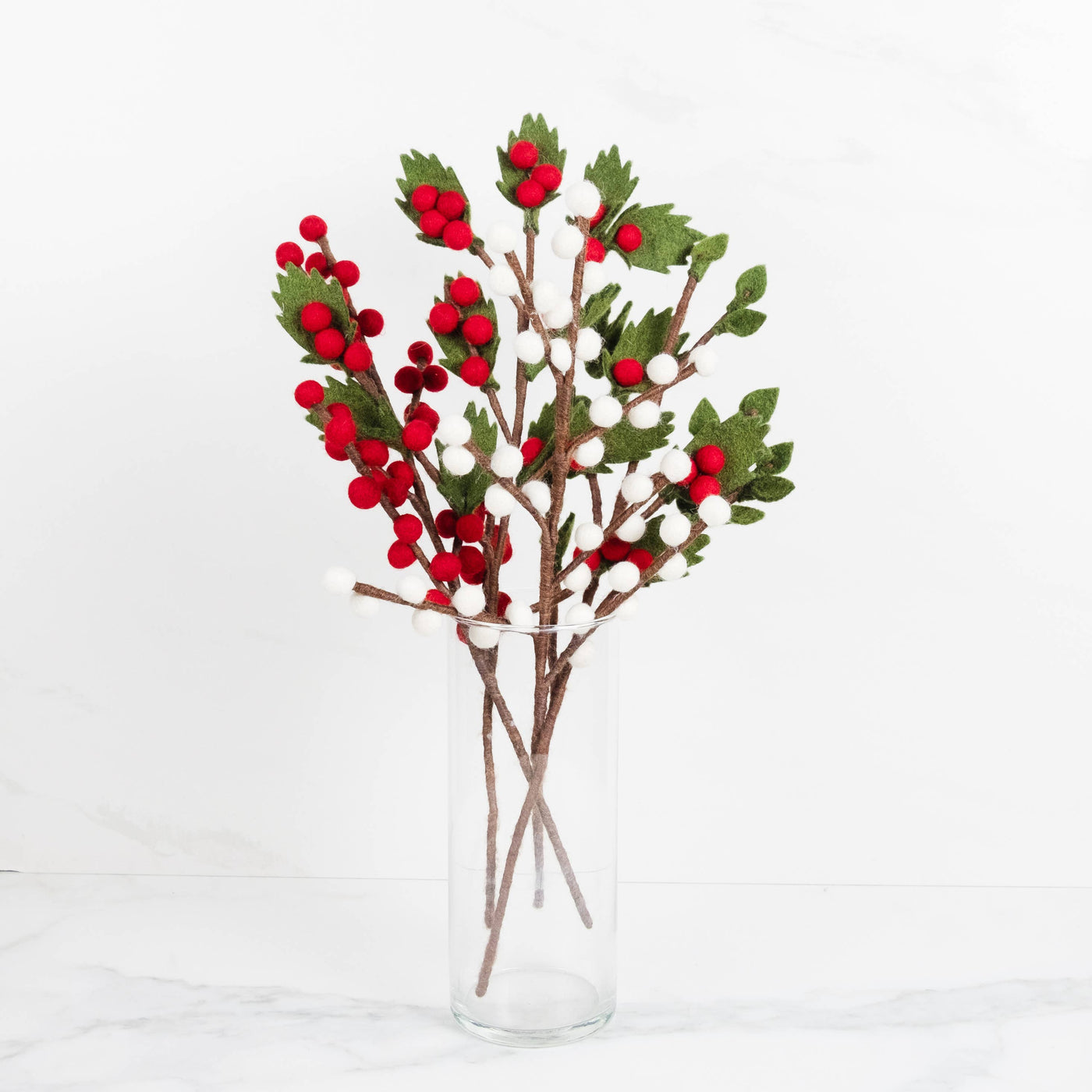 Red and White Berry Stems