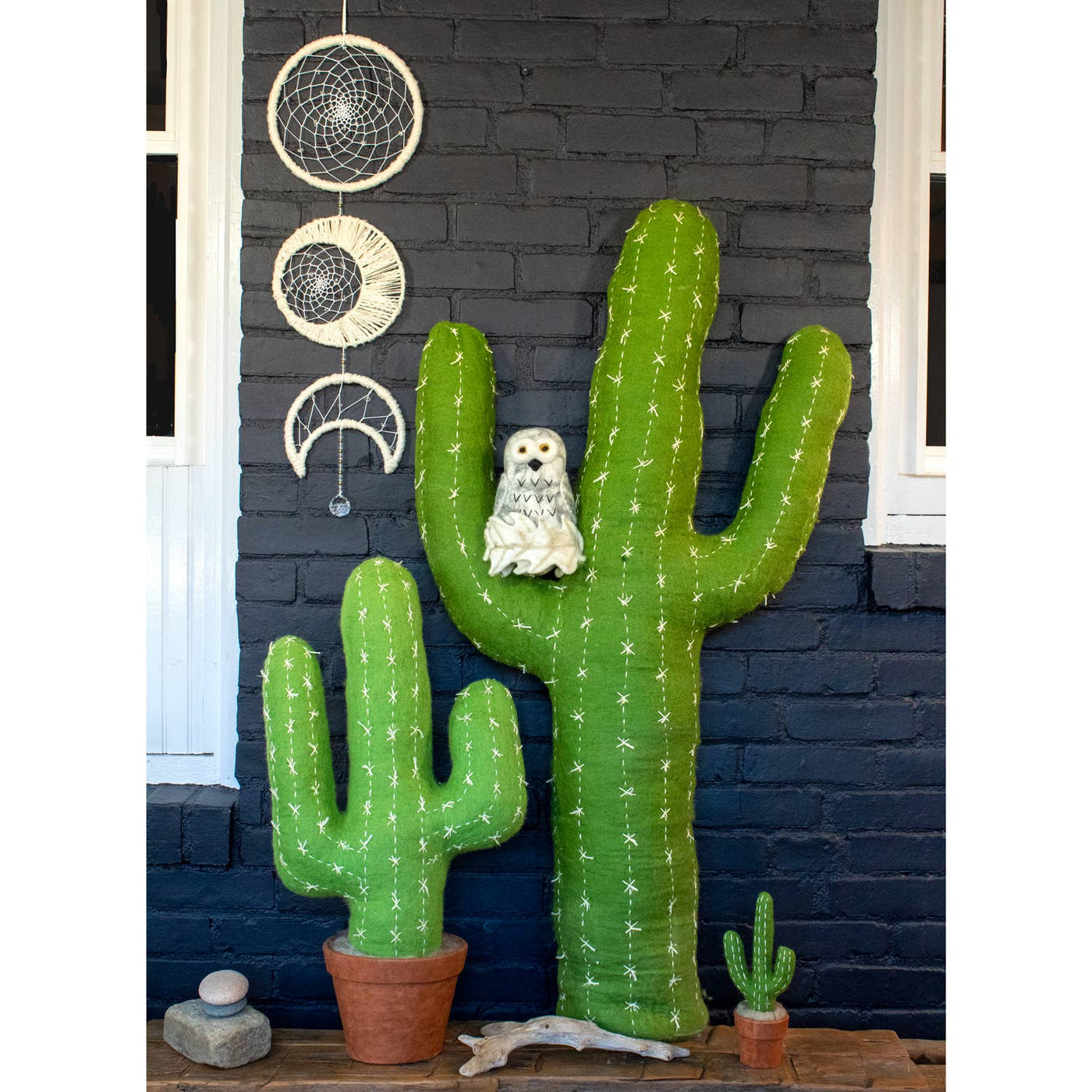 Small Saguaro Cactus