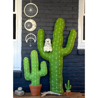 Small Saguaro Cactus
