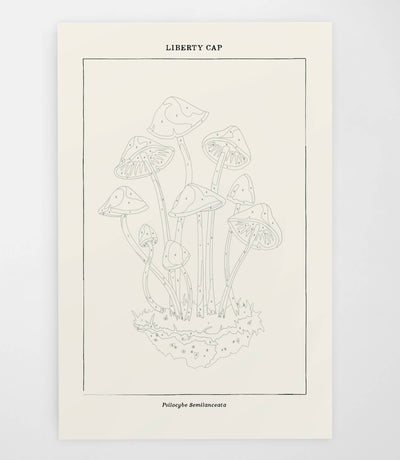 Mushroom Botanical | Modern Paint By Numbers Kit