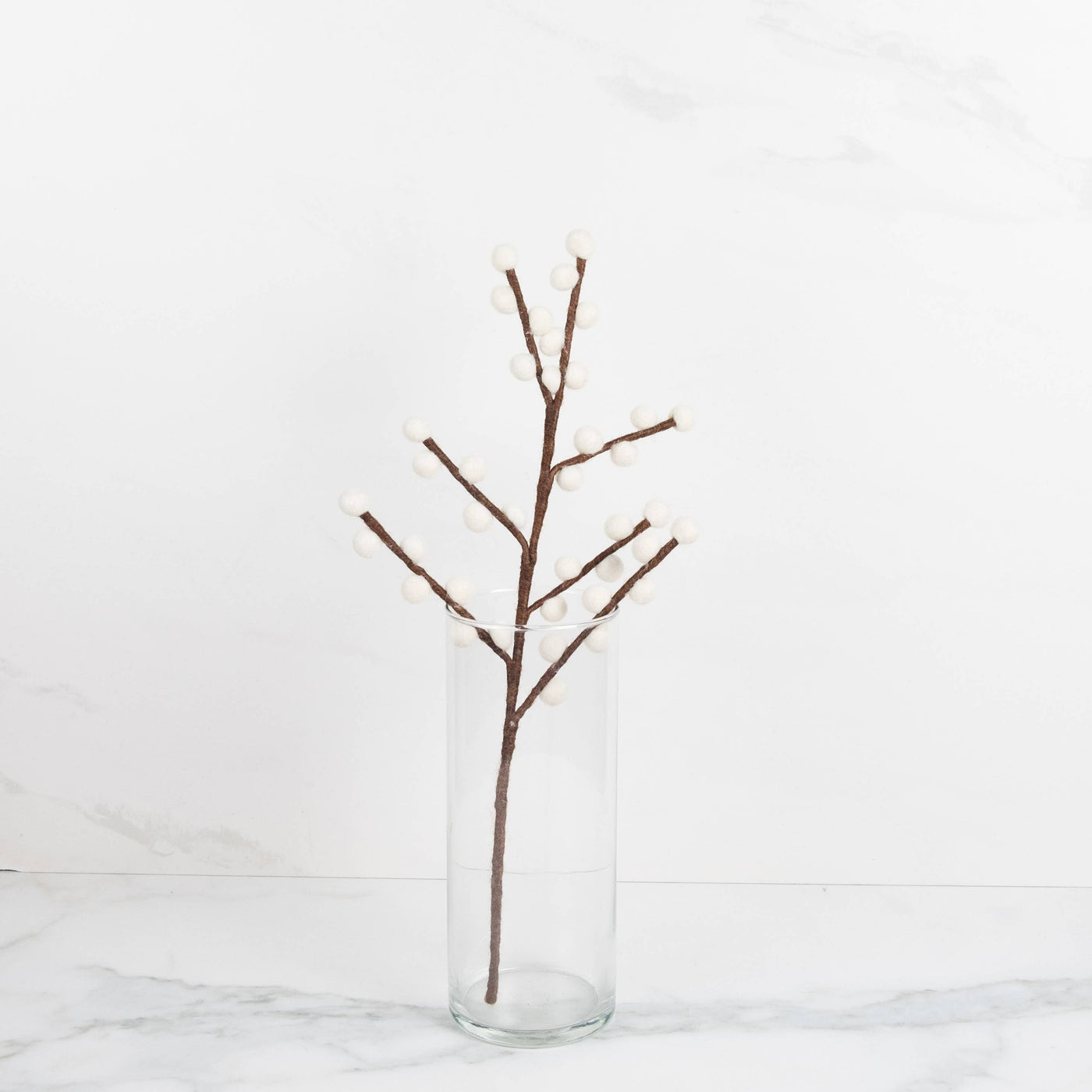 Red and White Berry Stems