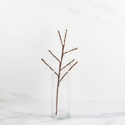 Red and White Berry Stems
