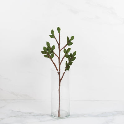 Red and White Berry Stems