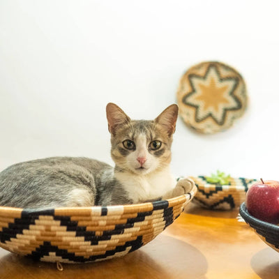 Rising Star Woven Bowls 14'' Woven  Bowl