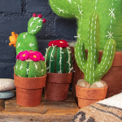 Small Saguaro Cactus