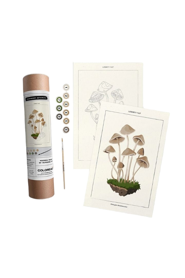Mushroom Botanical | Modern Paint By Numbers Kit