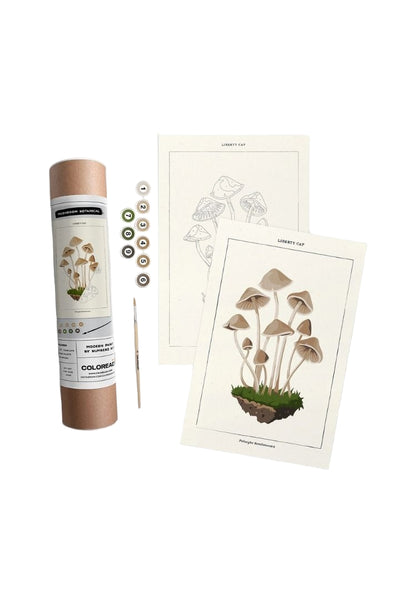 Mushroom Botanical | Modern Paint By Numbers Kit