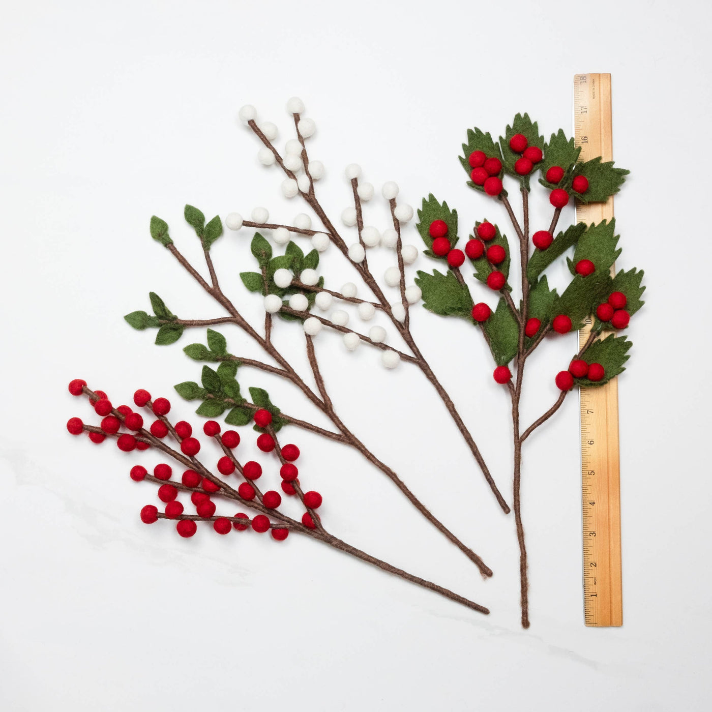 Red and White Berry Stems