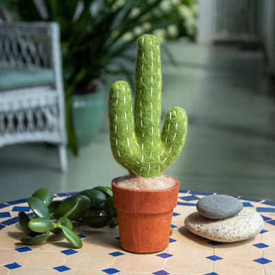 Small Saguaro Cactus