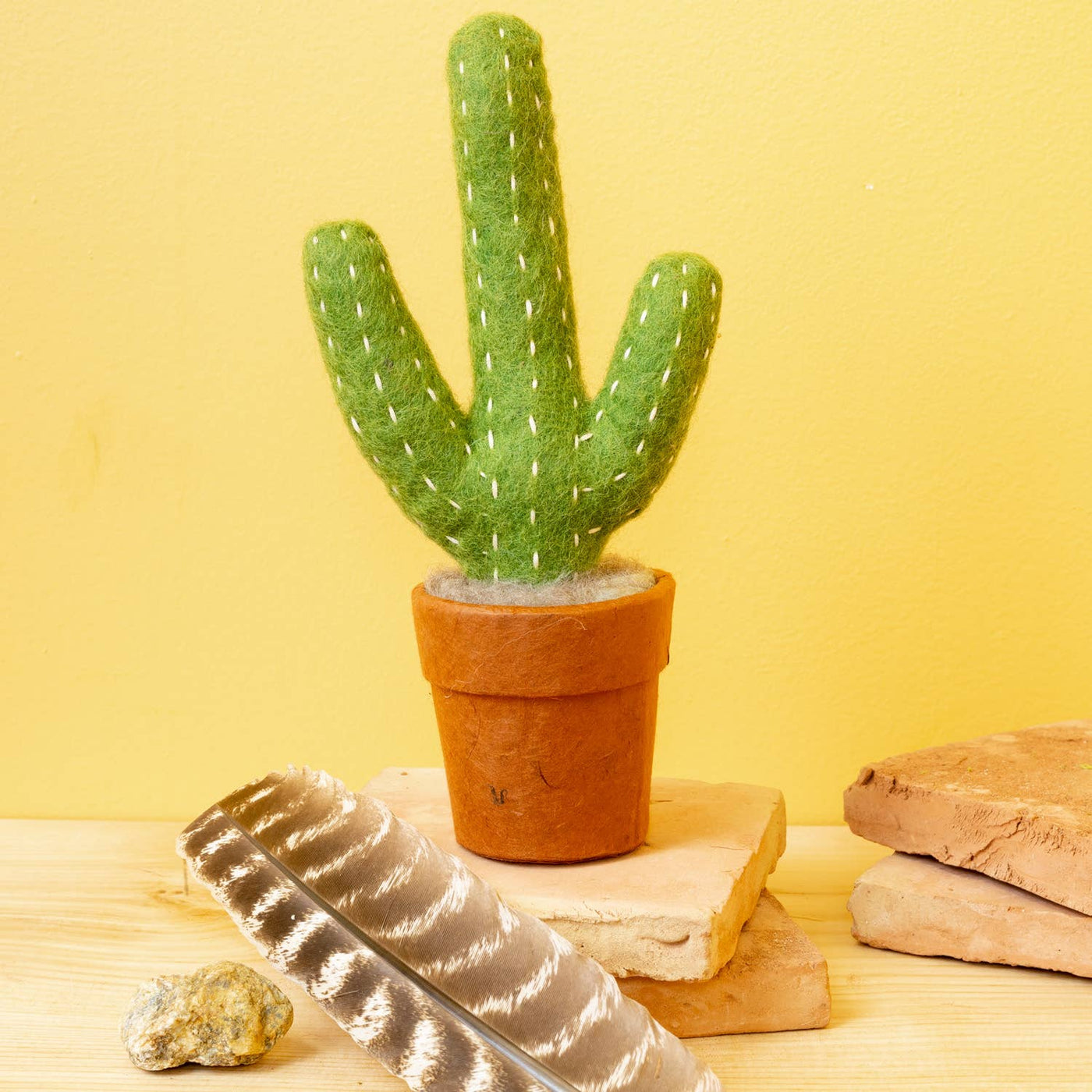 Small Saguaro Cactus