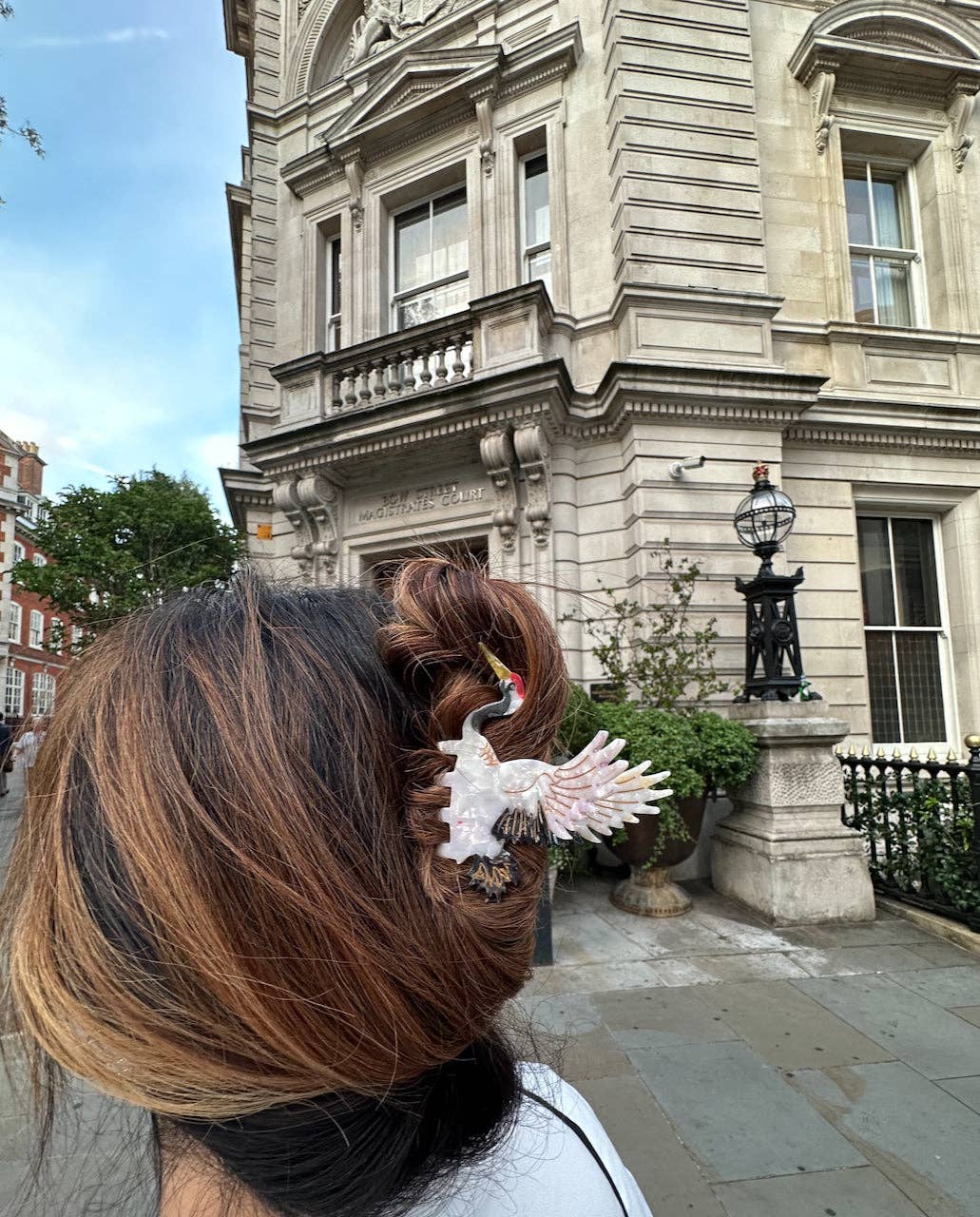 Hand-painted Crane Bird Claw Hair Clip