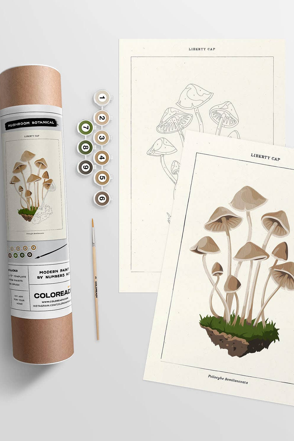 Mushroom Botanical | Modern Paint By Numbers Kit