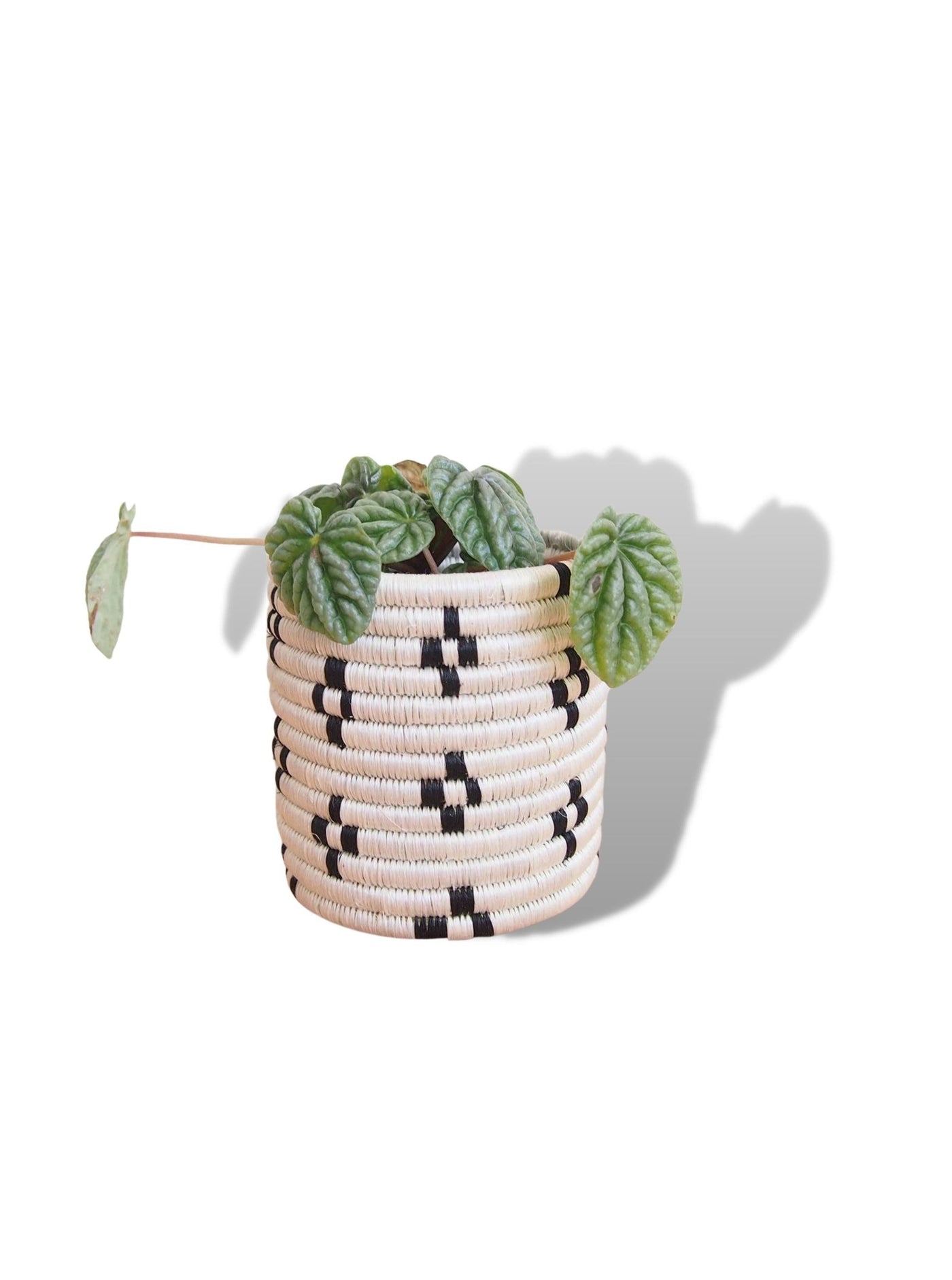 Basket Planters