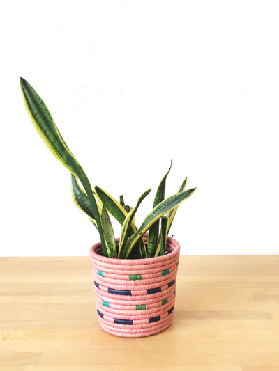 Pink Mabamba Basket Planter