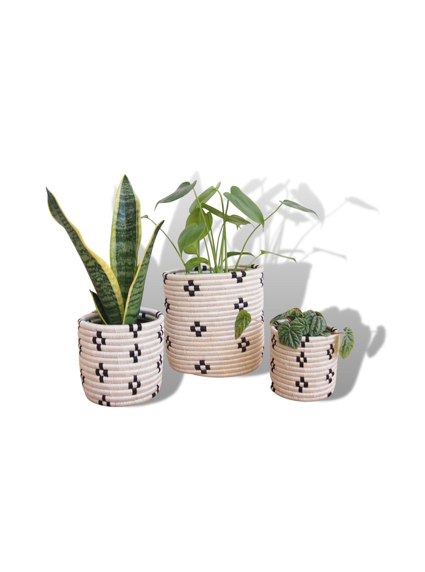 Basket Planters