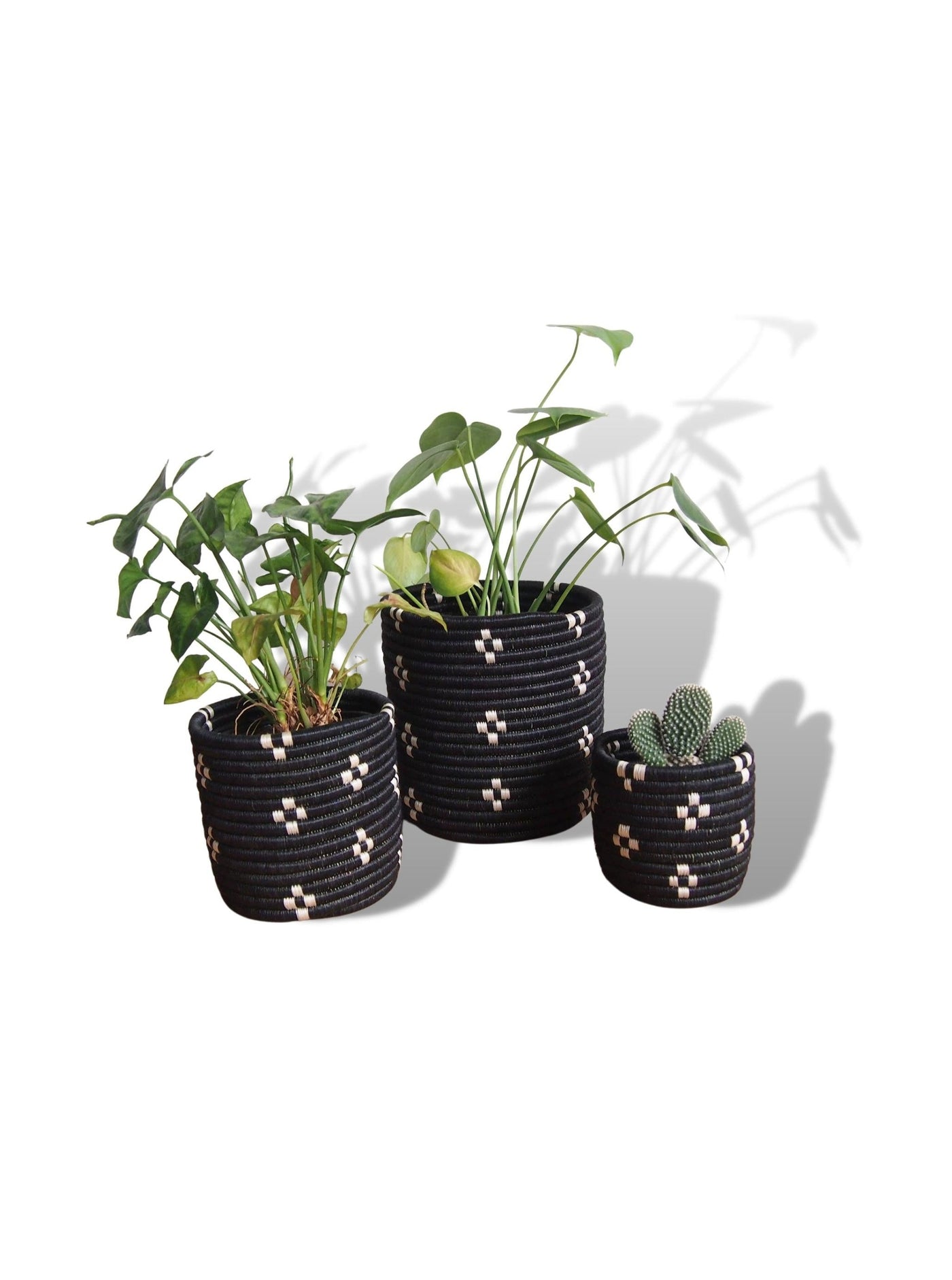 Basket Planters