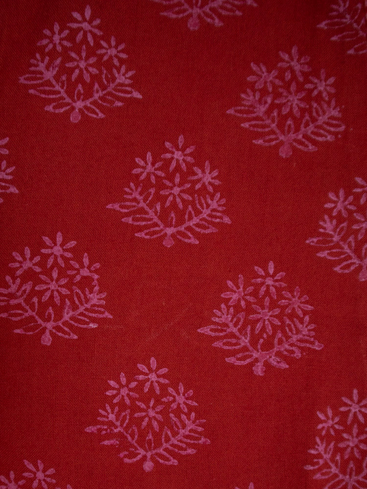 Sohla Mini Dress - Floral Stamp Red