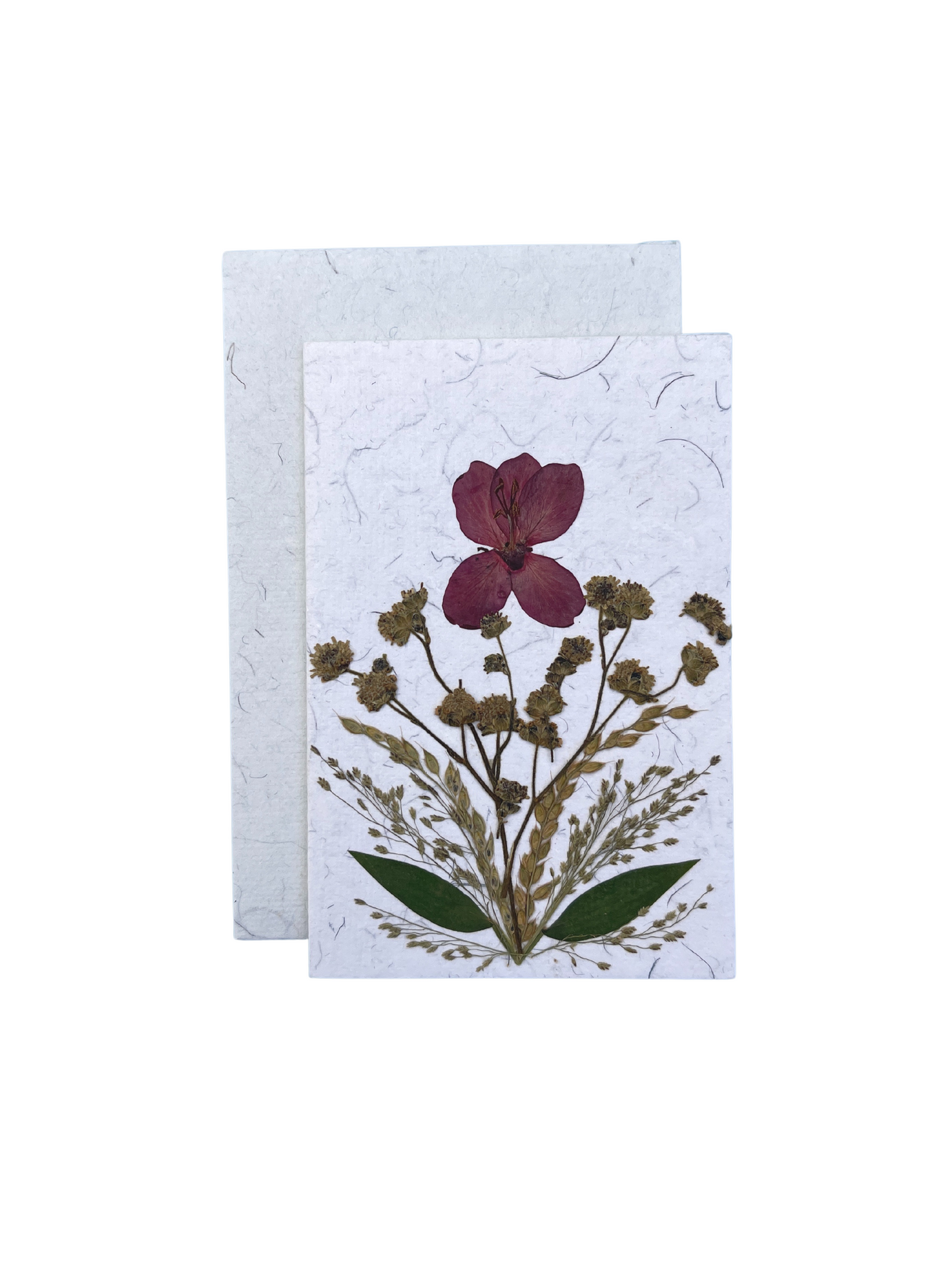 pressed flower card 