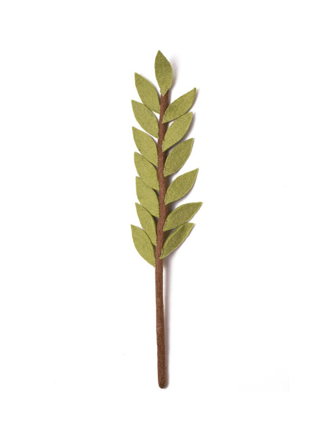 Felt Olive Branch