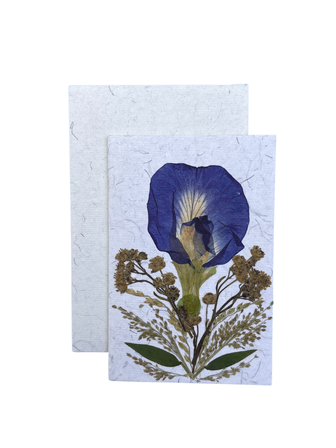 pressed flower card 