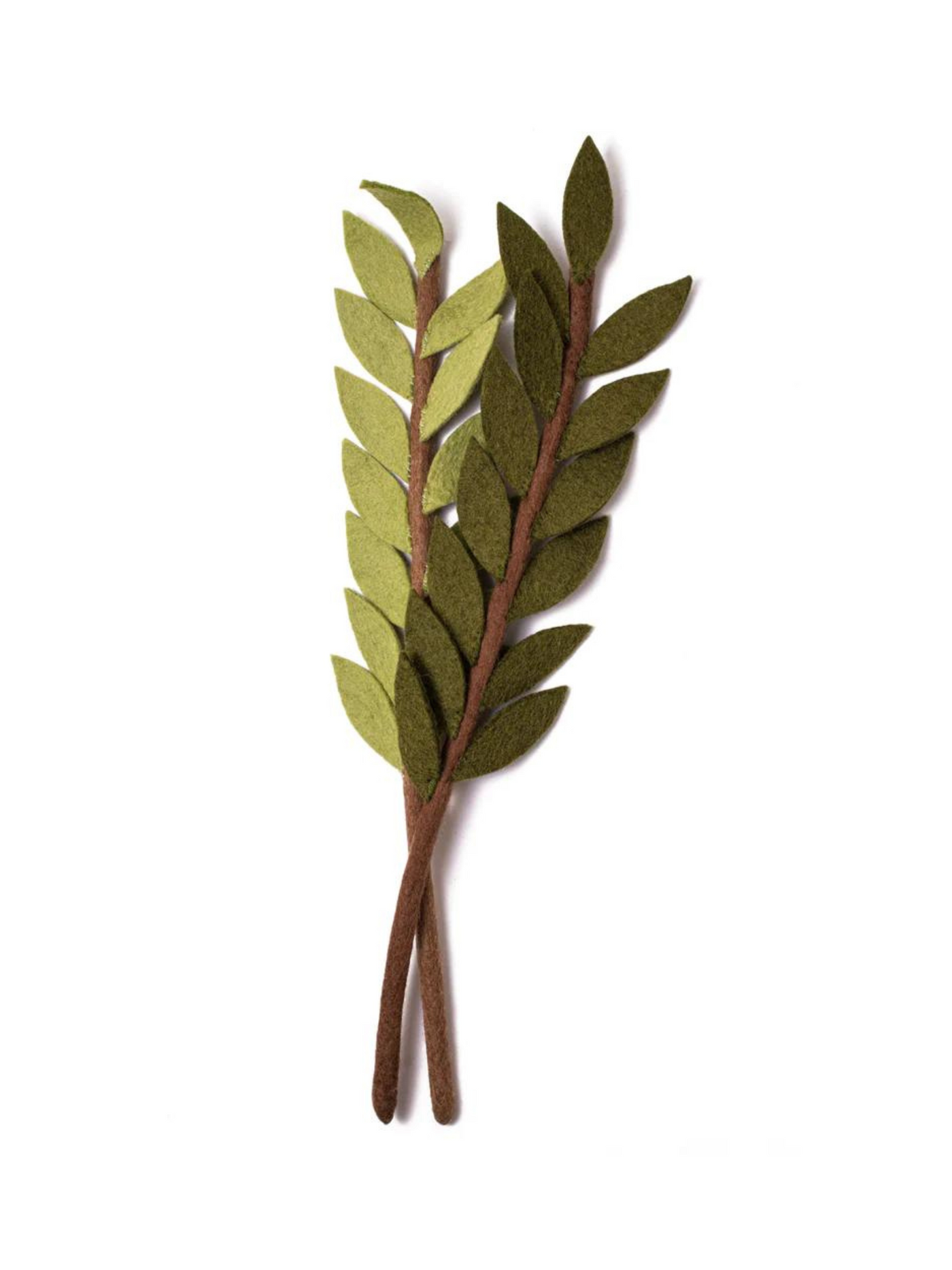 Felt Olive Branch