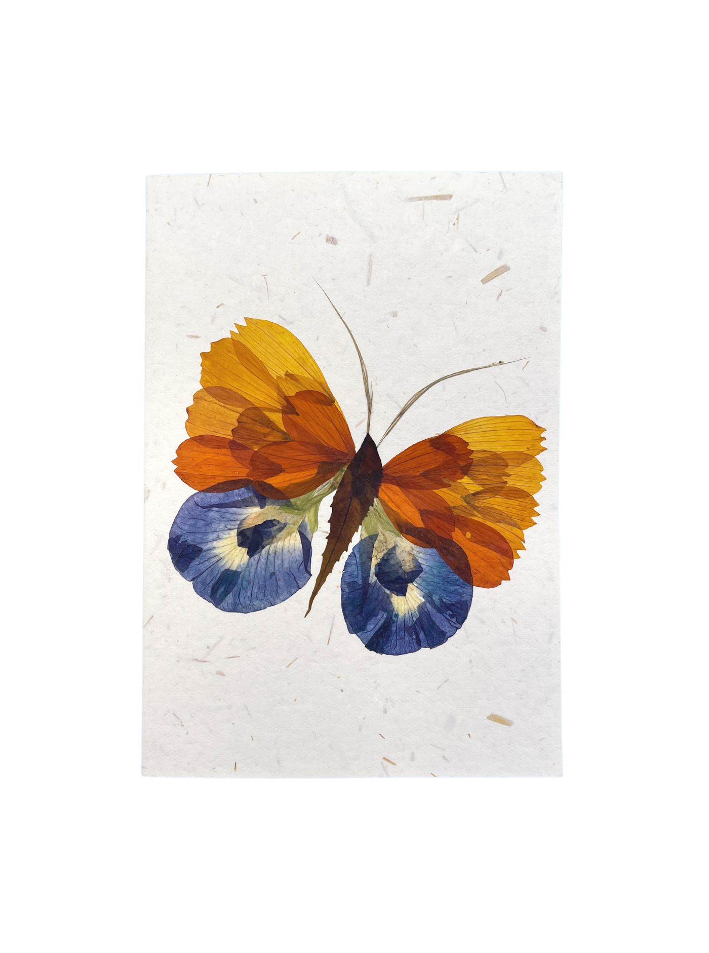 pressed flower card 