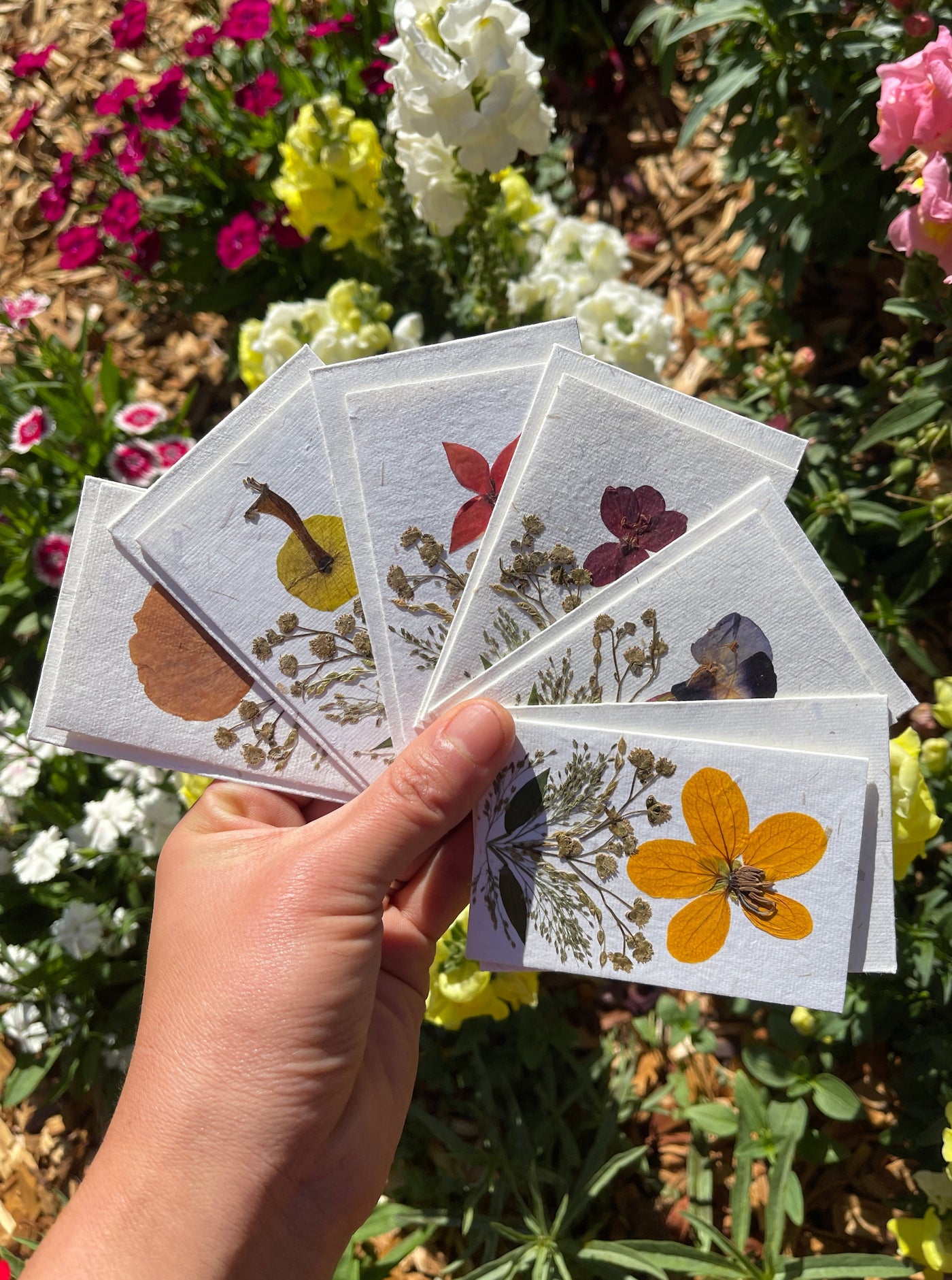 Mini Pressed Flower Card