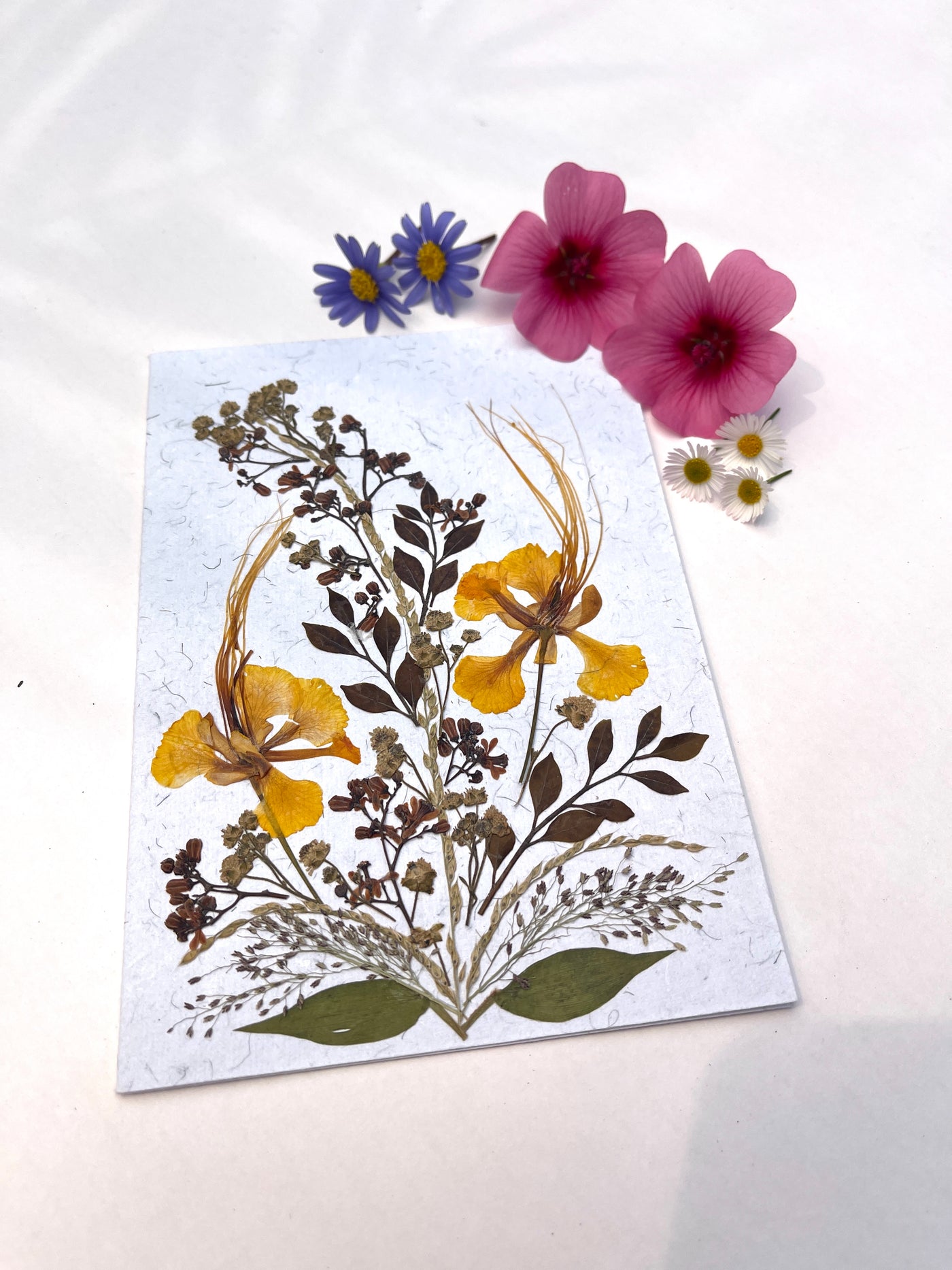 Freesia Bouquet Pressed Flower Card