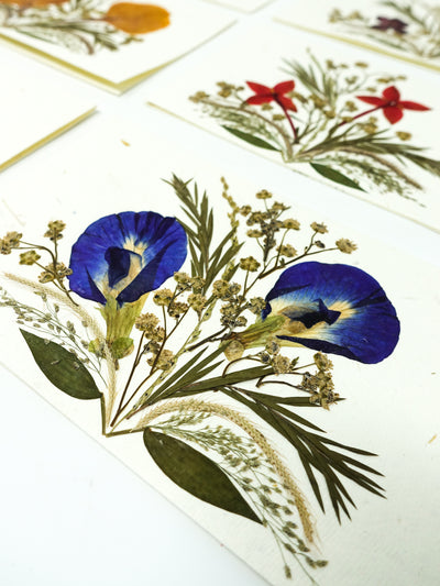Set of 6 Pressed Flower Cards