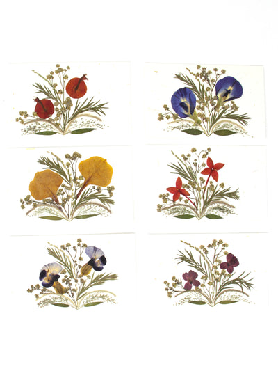 Set of 6 Pressed Flower Cards