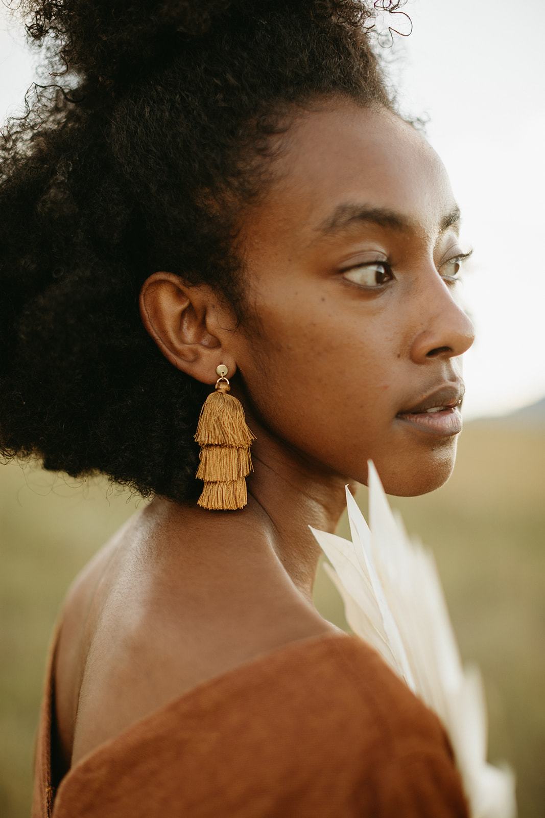 Tiered Tassel Earrings - Four Colors