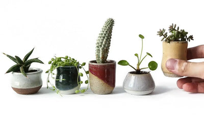 Assorted Tiny Ceramic